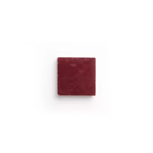Zellige Lie de Vin 2 x 2